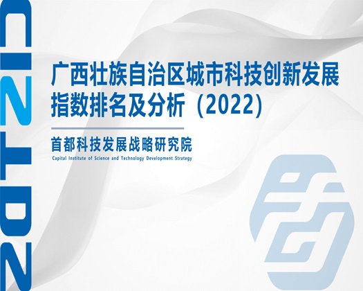 操逼搞一搞【成果发布】广西壮族自治区城市科技创新发展指数排名及分析（2022）